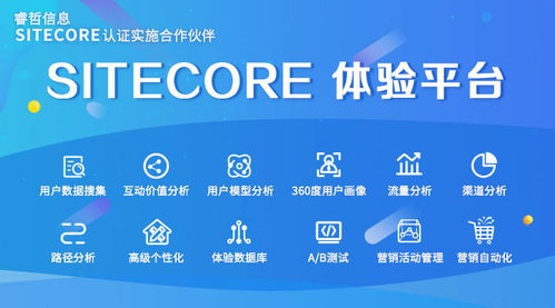 睿哲信息揭秘 荣登gartner的sitecore如何打造个性化购物体验